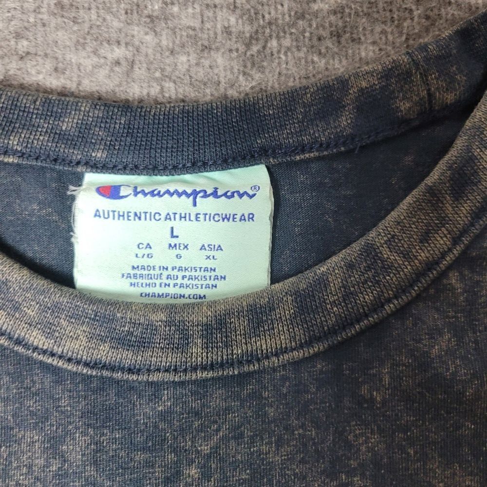 Champion Men’s T Shirt Size L Santa Cruz California Gray Vintage Wash New - Picture 2 of 9